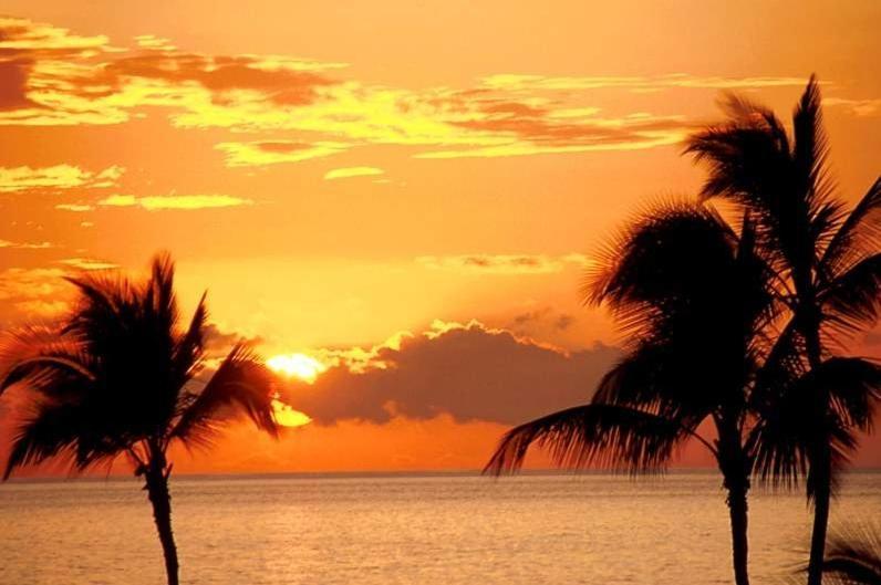Ap Cote Com Vista Para Mar E Bicicletas Maceió Zewnętrze zdjęcie